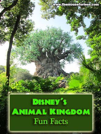 Animal Kingdom Theme Park Fun Facts