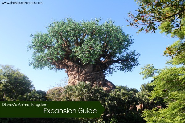 Animal Kingdom Expansion Guide • Walt Disney World