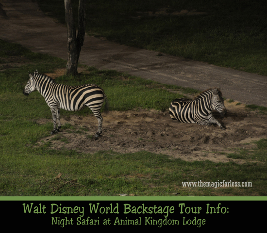 Backstage Tours and Experiences | Walt Disney World