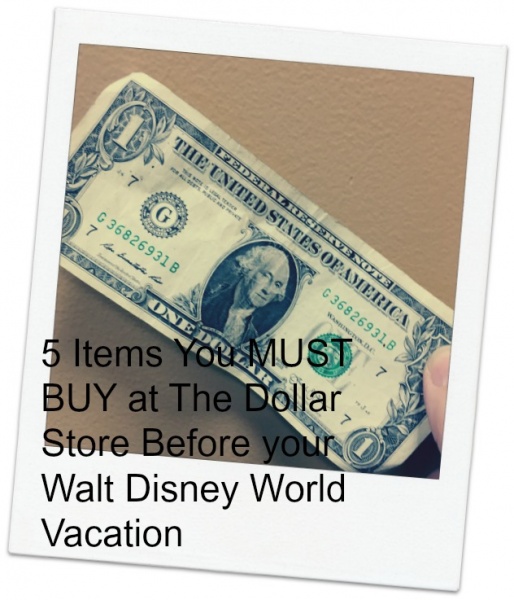 Dollar Store Shopping Spree - 5 Items You MUST BUY Before Your Walt Disney  World Vacation