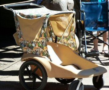 strollers allowed in disney world