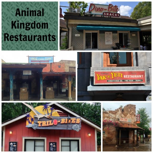 Disney's Animal Kingdom Restaurants at Walt Disney World