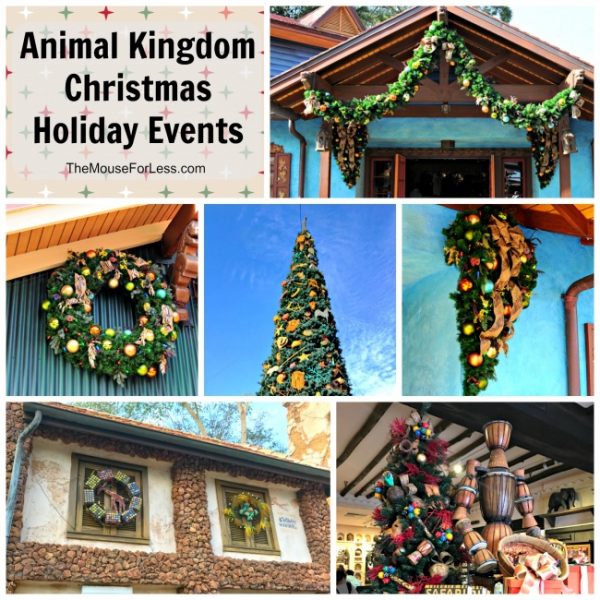 Disney's Animal Kingdom Christmas Holiday Events