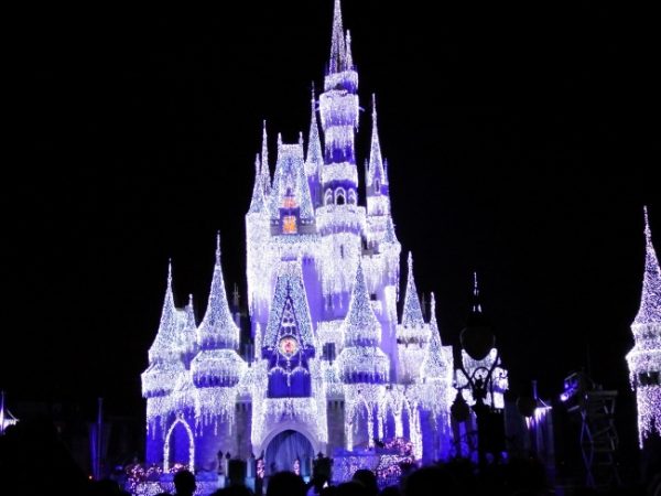 Tips For Marriage Proposals At Walt Disney World Resort