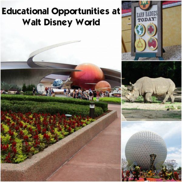 Educational Opportunities at Walt Disney World