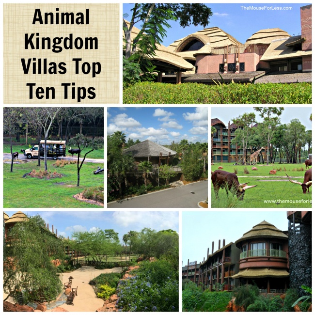 Animal Kingdom Villas Top Ten Tips