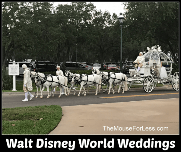 Fairy Tale Weddings Across The Walt Disney World Resort