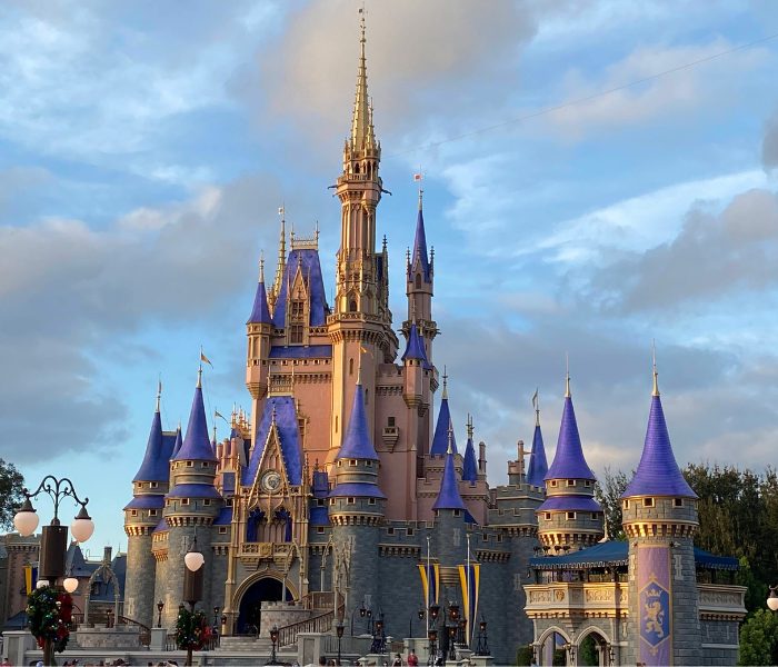 Walt Disney World Resort - Magical Travel