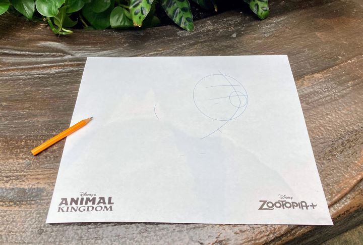 Animation Experience paper Animal Kingdom