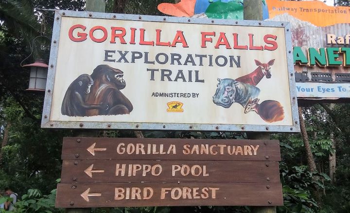 Animal Kingdom Gorilla Falls Trail Walt Disney World