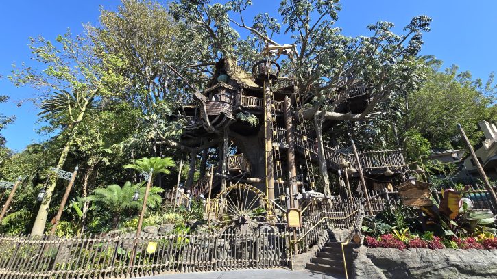 Disneyland Adventureland Treehouse