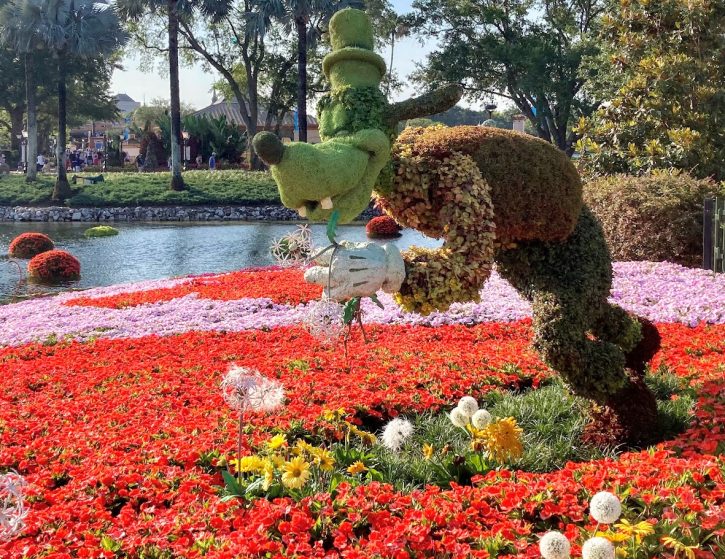 Epcot Flower and Garden Festival Goof Walt Disney World