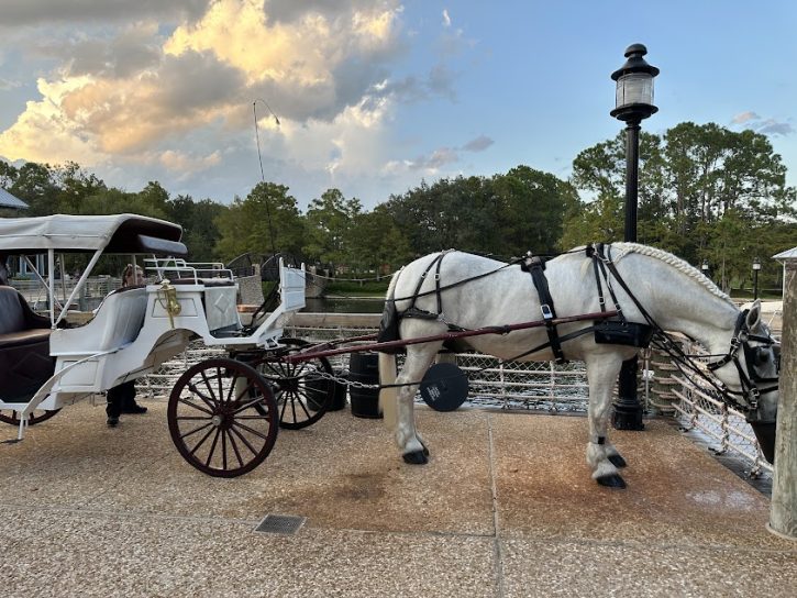 Carriage Rides at Port Orleans Riverside