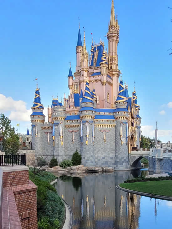 Magic Kingdom Castle